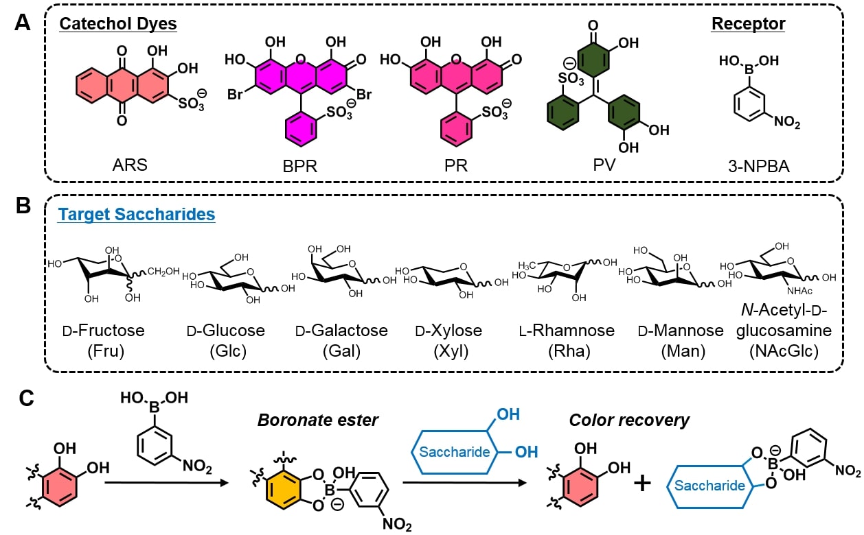 A Saccharide Chemosensor Array Developed Based on an Indicator Displacement Assay Using a Combination of Commercially Available Reagents